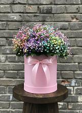 Цветочная композиция из Гипсофила и Розы в шляпной коробке #REPLACE_PRED# Кострово