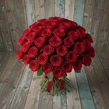 Букет 55 Красных роз Фридом #REPLACE_PRED# Кострово