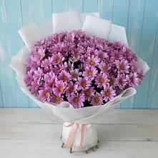 Букет цветов из:  Хризантемы #REPLACE_PRED# Кострово