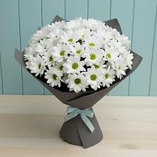 Букет цветов из:  Хризантемы в Кострово