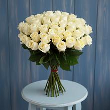 Букет 51 Белая роза Эдлесс Лав в Кострово