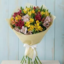 Букет цветов из:  Альстромерии в Кострово